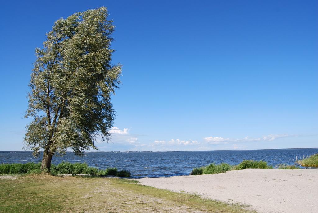 Ferienhaus mit Garten am Bodstedter Bodden Exterior foto